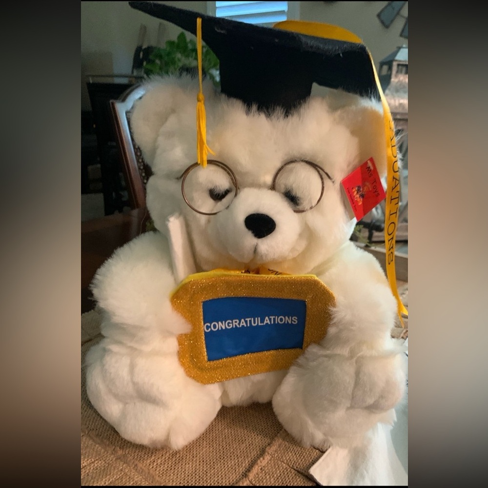 👩‍🎓 2025 Graduation Achievement Teddy Bear with Picture Frame 👩‍🎓